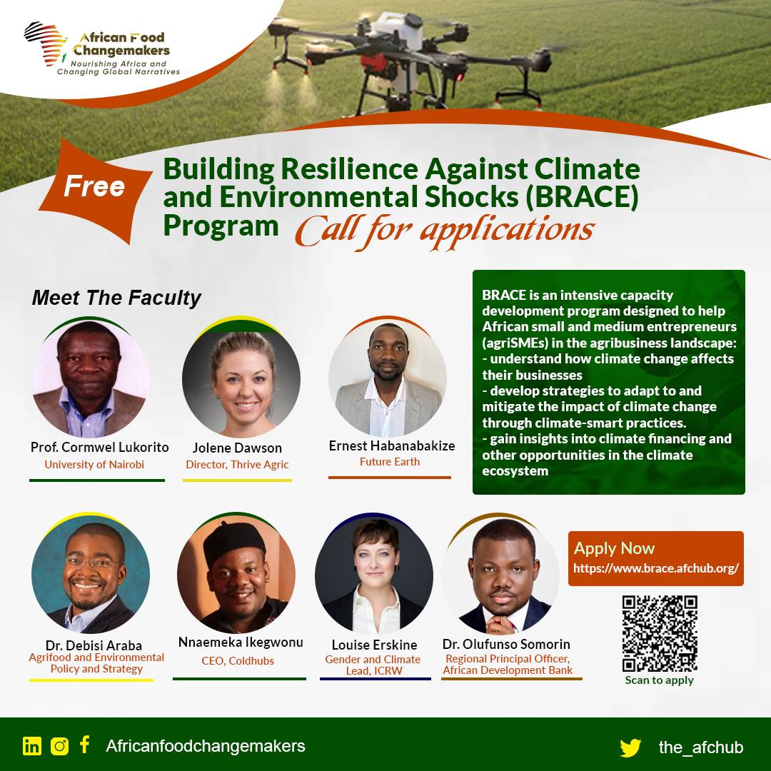Call for Application: Building Resilience Against Climate and Environmental Shocks (BRACE) program